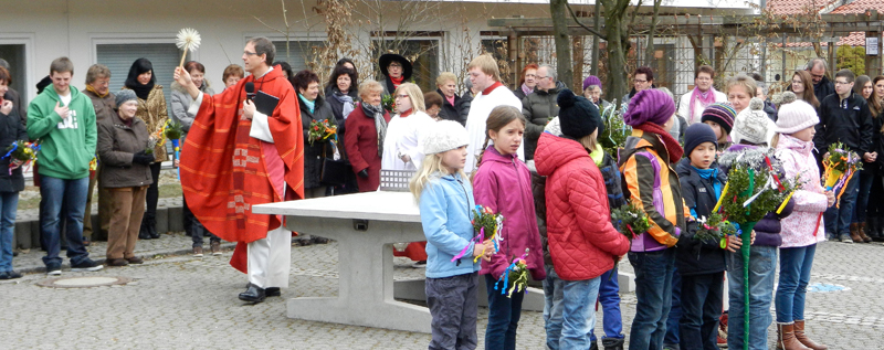 10 weihe_palmbuschen_mitterfels